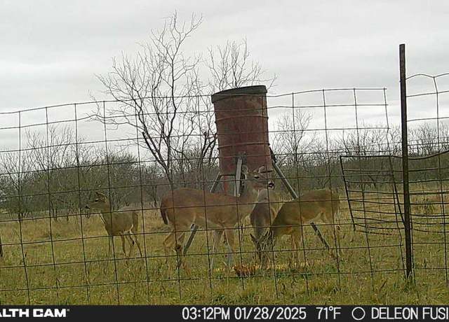 Property at 851 County Road 450, De Leon, TX 76444