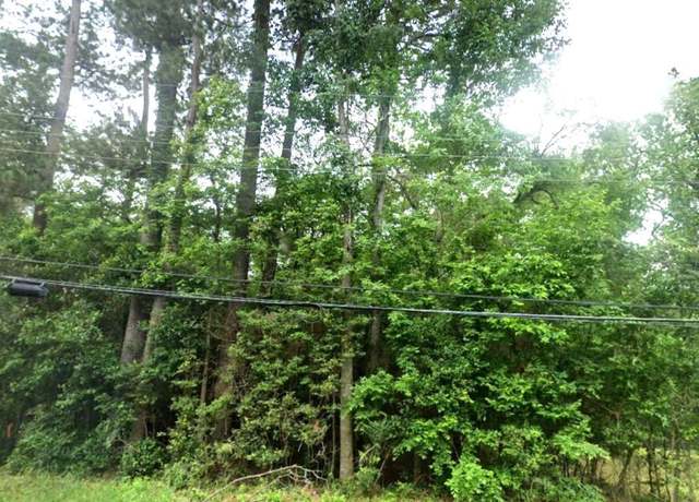 Property at 0 Hillendale Dr, Livingston, TX 77351