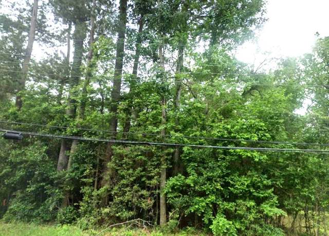 Property at 0 Hillendale Dr, Livingston, TX 77351