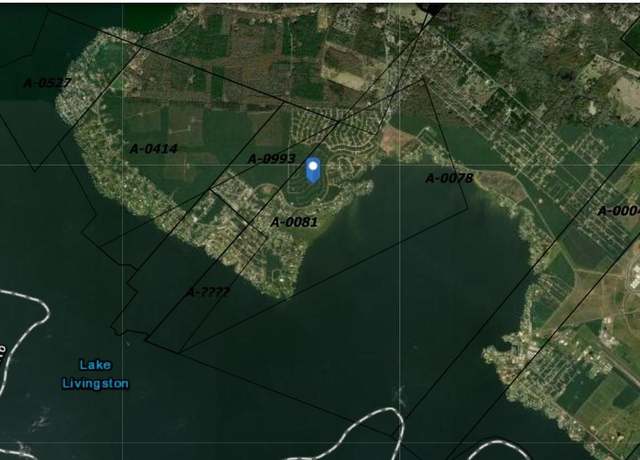 Property at Lots 605 and 606 Wood Frst, Livingston, TX 77351
