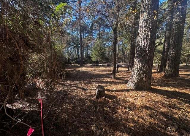 Property at TBD Lot 41 Cherokee Ln, Waller, TX 77445