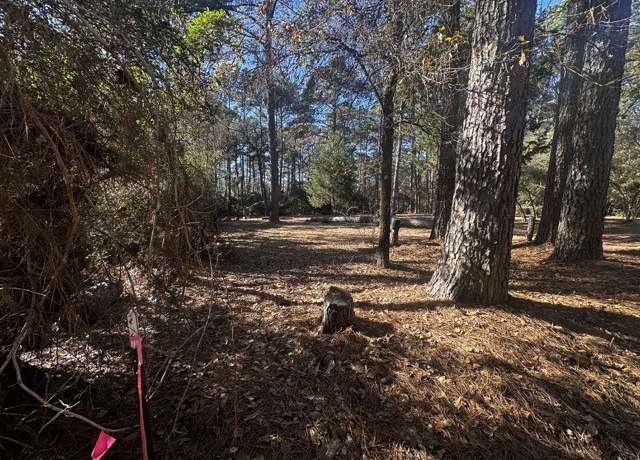 Property at TBD Lot 41 Cherokee Ln, Waller, TX 77445