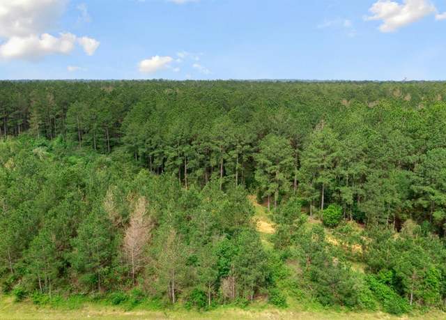 Property at 15899 Wood Grove Way, Willis, TX 77378