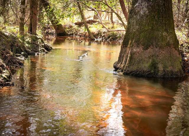 Property at TBD 2 County Road 2052, Newton, TX 75966