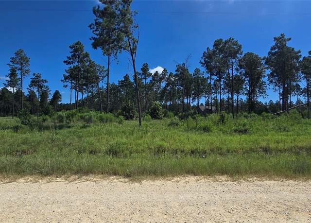 Property at Lot 1 Aggie, Livingston, TX 77351