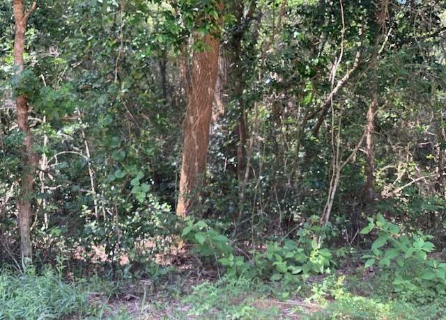 Property at tbd Tanyard Rd, Conroe, TX 77303