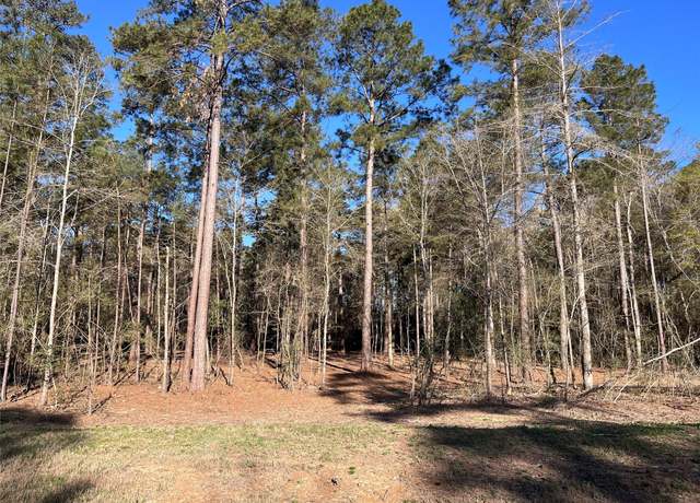 Property at 15194 Forest Grove Dr, Willis, TX 77378