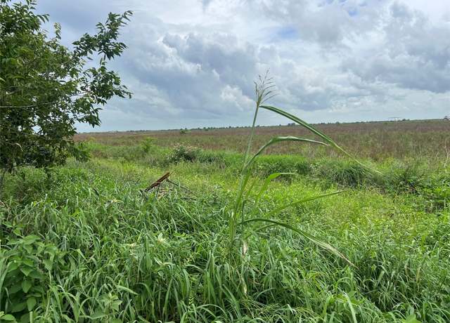 Property at 00 Beal Rd, Eagle Lake, TX 77434