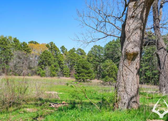 Property at TBD Fm 323, Palestine, TX 75801