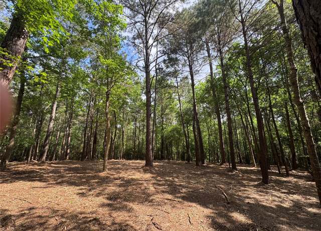 Property at 29 & 30-21-9 Windmill Rd, Huntsville, TX 77340