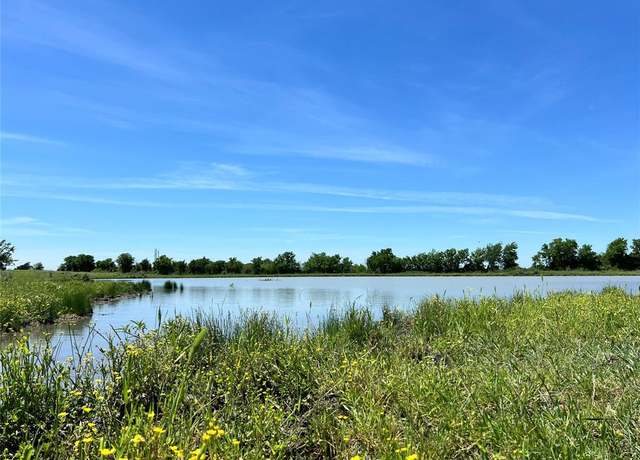 Property at 217 Acres Jozwiak Rd, Chappell Hill, TX 77426