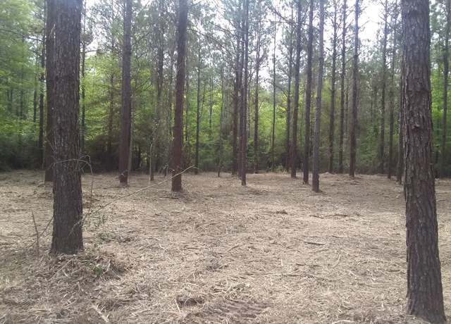 Property at 308 Outlaw Bnd, Livingston, TX 77351