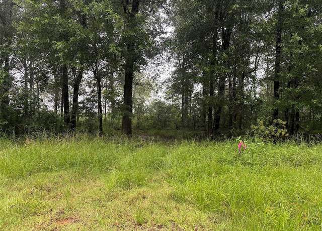 Property at 258 Vine Arbor Dr, Livingston, TX 77351