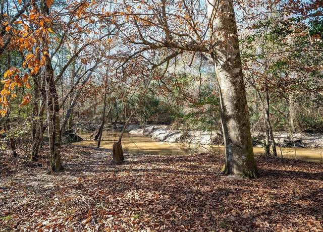 Property at TBD County Road 4494, Hillister, TX 77624