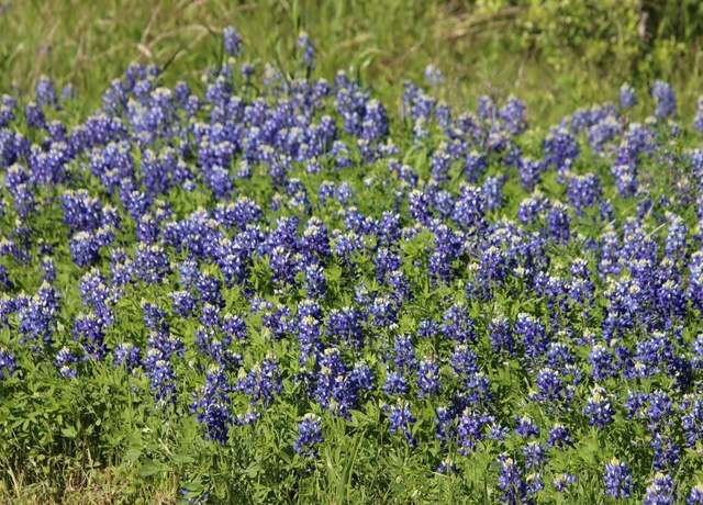 Property at 00 Wooded Reserve Ct, Washington, TX 77880