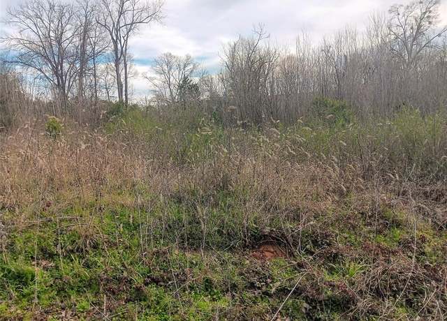 Property at 1606 W Eilenstein St, Palestine, TX 75803