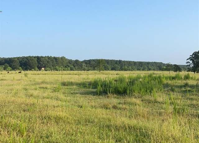 Property at TBD County Road 2276, Cleveland, TX 77327