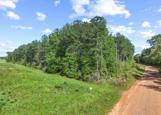 Property at tbd Bluewater Rd, Livingston, TX 77351