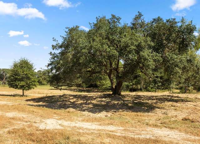 Property at TBD (TR 2) Joshua Tree Lane at Brunes Mill Rd, Columbus, TX 78934