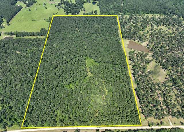 Property at 3 Fodice-2 Rd, Pennington, TX 75845