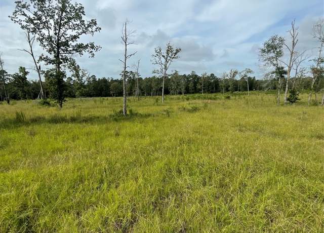Property at TBD Farm Market 3152, Livingston, TX 77351
