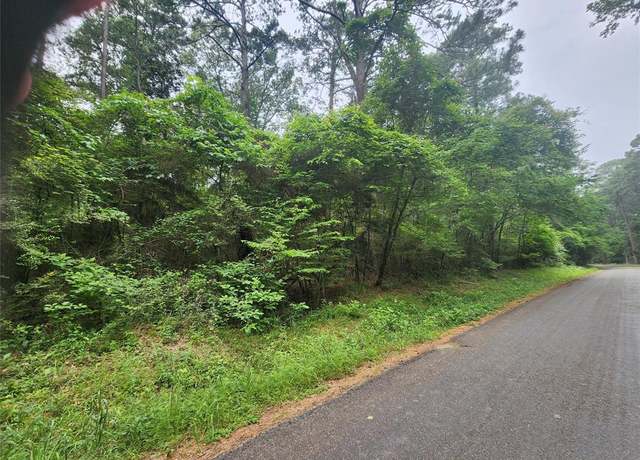 Property at 207 Long King, Livingston, TX 77351