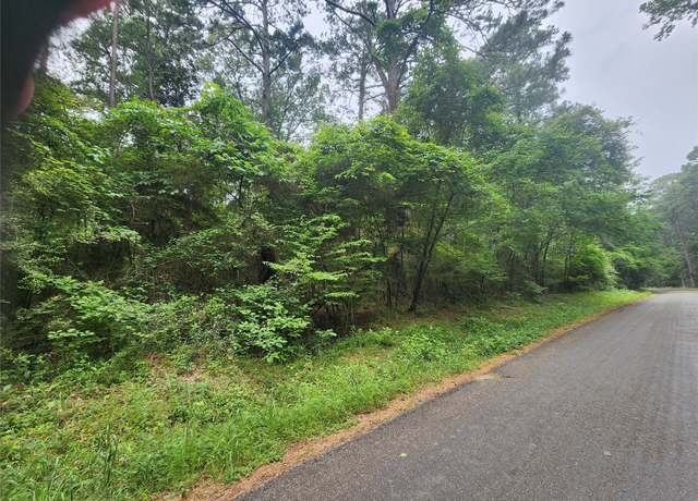 Property at 207 Long King, Livingston, TX 77351