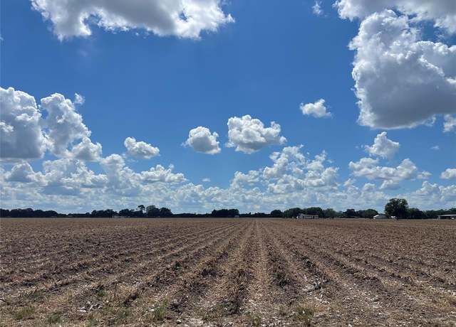 Property at 0 Pleak Rd, Pleak, TX 77469
