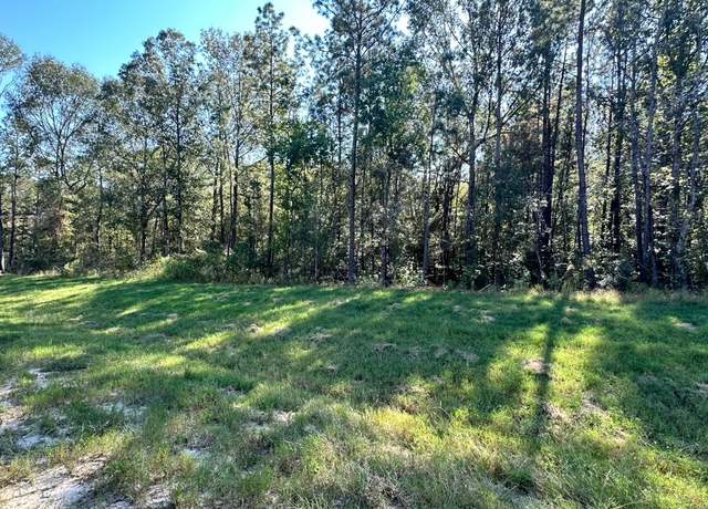 Property at 11530 E Bramble Ct, Willis, TX 77378