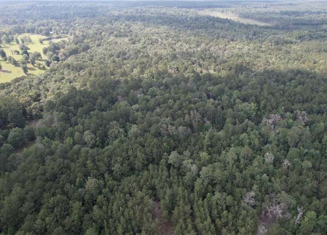 Property at 0 CR 1200, Hemphill, TX 75948