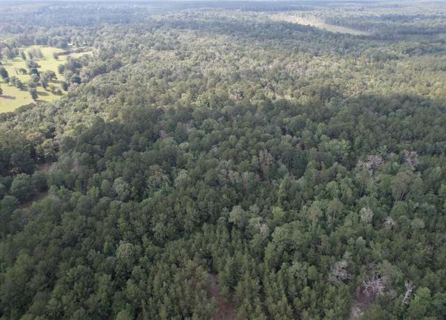 Property at 0 Cr 1200, Hemphill, TX 75948