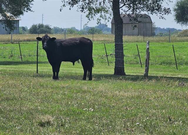 Property at 2144 Maler Rd, Sealy, TX 77474, 3 beds, 2 baths