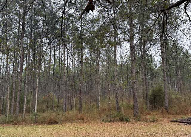 Property at 467 County Road 3035, Newton, TX 75966