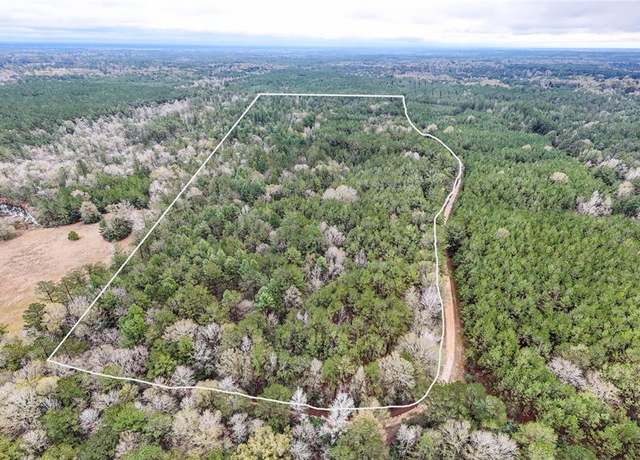 Property at TBD County Road 3064, Kirbyville, TX 75966