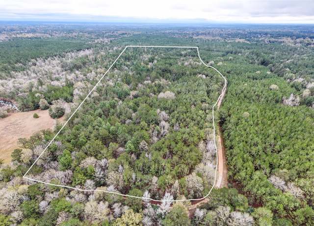 Property at TBD County Road 3064, Kirbyville, TX 75966