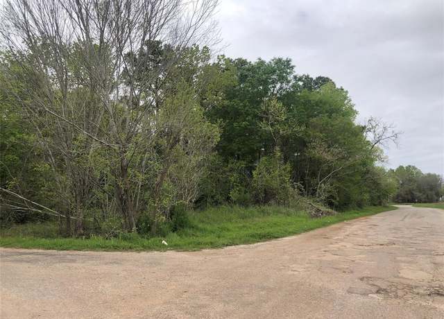 Property at Tbd Martin Luther King, Crockett, TX 75835