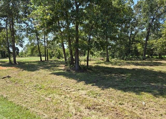 Property at Lot 3 Fm 980 S, Point Blank, TX 77364