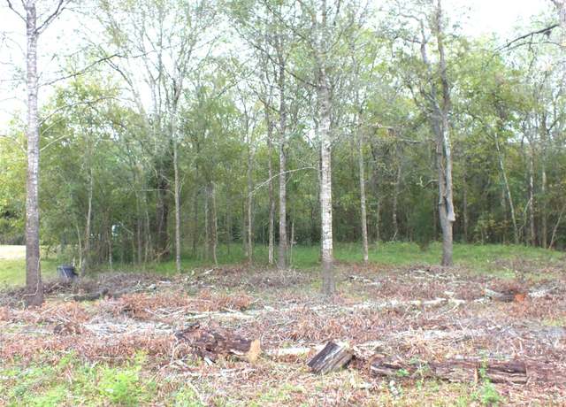 Property at 0 Patricia Lane County Road 377, Alvin, TX 77511