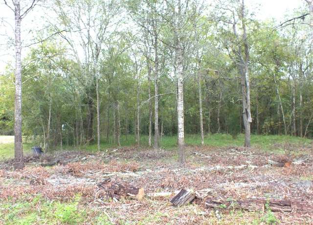 Property at 0 Patricia Lane County Road 377, Alvin, TX 77511