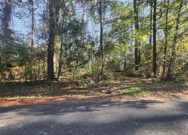 Property at 145 Dancing Flame, Livingston, TX 77351