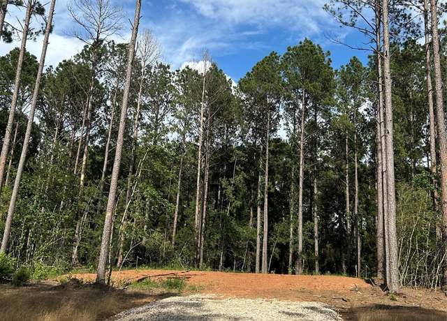 Property at 11356 Annie Creek Dr, Willis, TX 77378