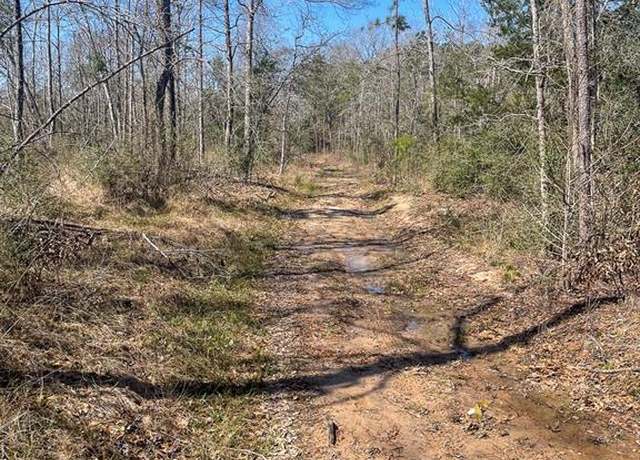 Property at 2 US Hwy 287, Groveton, TX 75845