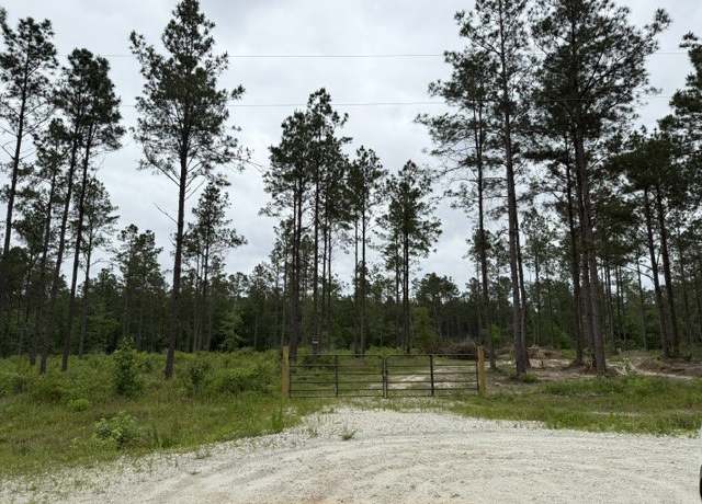 Property at 00 Richardson Rd E, Livingston, TX 77351