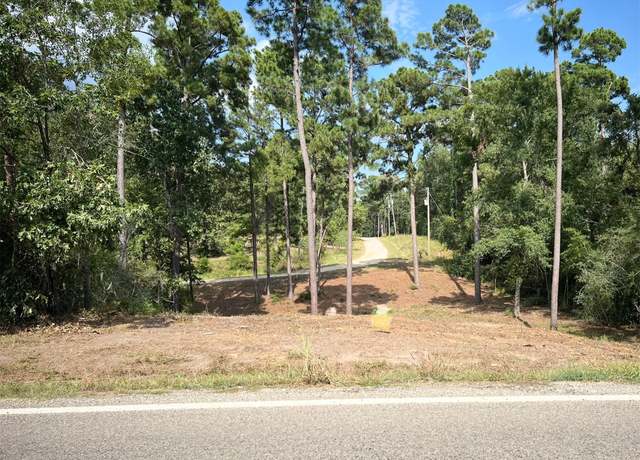 Property at TBD Valley View Dr, Onalaska, TX 77360