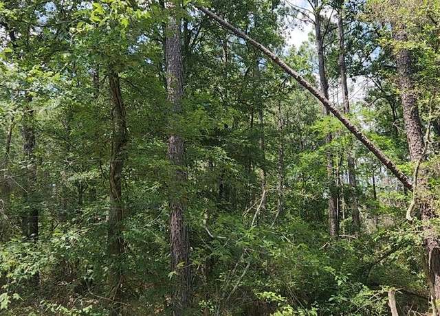 Property at Lot 30 Gum Tree Ln, Plantersville, TX 77363