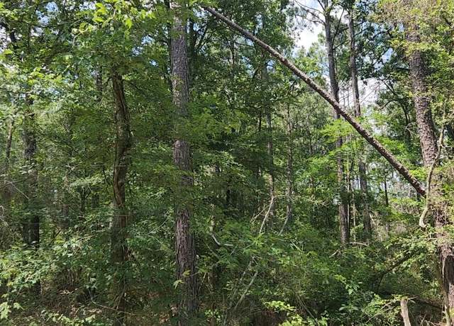 Property at Lot 30 Gum Tree Ln, Plantersville, TX 77363