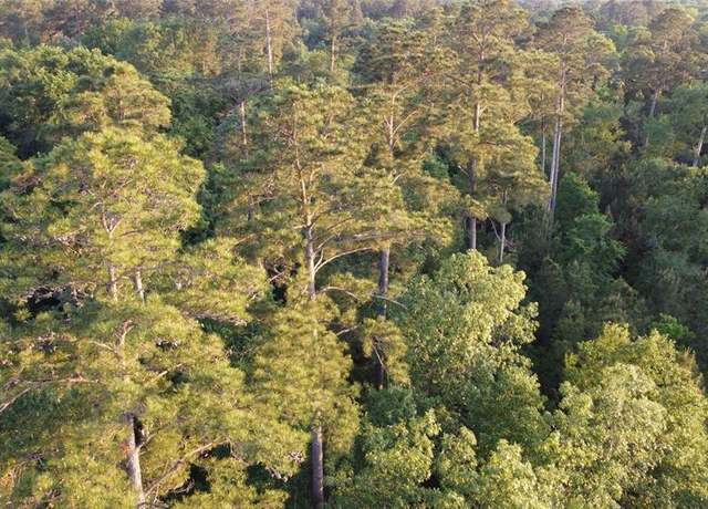 Property at Tract B Lake Rd, Riverside, TX 77320