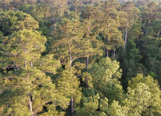Property at Tract B Lake Rd, Riverside, TX 77320