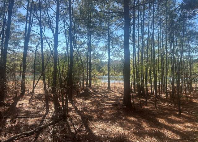 Property at 17760 Saddle Horn Dr, Waller, TX 77484