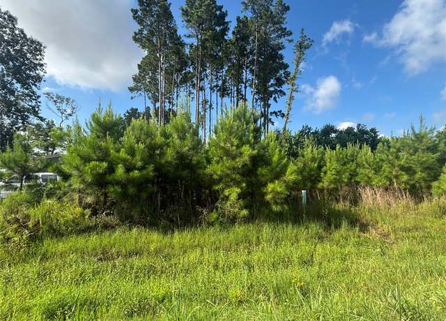 Property at 794 Road 5252, Cleveland, TX 77327